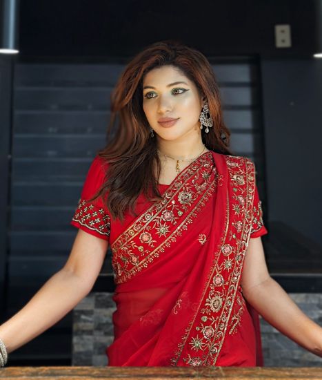 Bridal Weightless Georgette Saree Sequence Embroidery Work এর ছবি